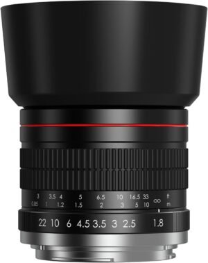 EF 85mm F1.8 Portrait Lens – Medium Telephoto Manual Focus SLR Cameras Lens for Canon EOS Rebel T Series (T8i/T7i/T7/T6/T3i/T2i/4000D/850D/SL3/SL2) & High-End DSLRs (6D Mark II/5D Mark IV/90D/80D/77D)